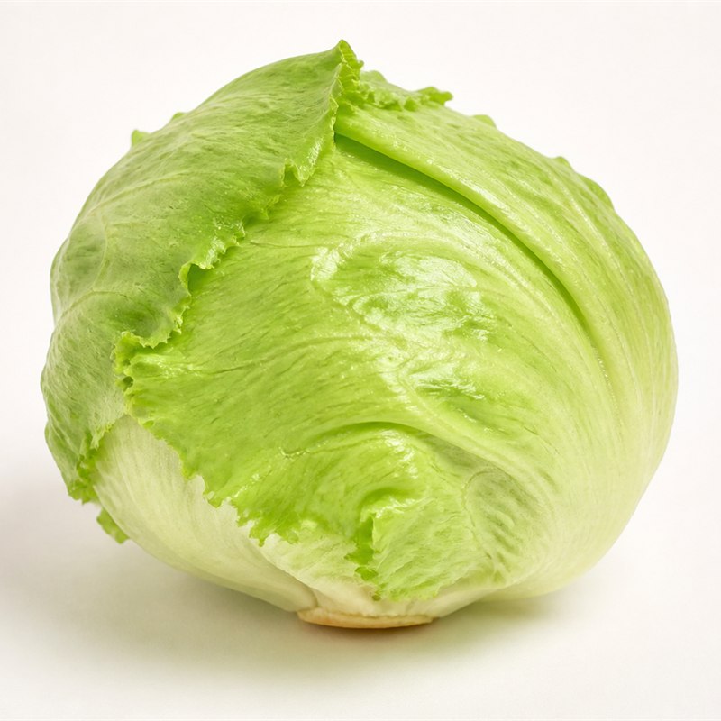 Iceberg Lettuce
